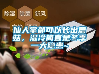 知識(shí)百科仙人掌都可以長出蘑菇，濕冷簡直是冬季一大隱患~