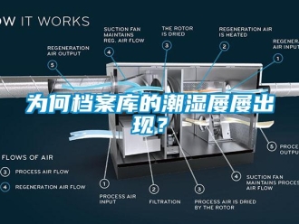 知識百科為何檔案庫的潮濕屢屢出現(xiàn)？
