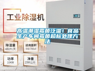 企業(yè)新聞高溫潮濕霉菌泛濫！食品生產車間霉菌超標處理方法