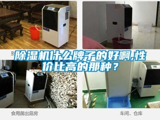 行業(yè)新聞除濕機(jī)什么牌子的好啊,性價比高的那種？