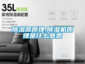 行業(yè)新聞除濕器原理,除濕機原理是什么意思