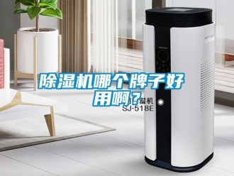 行業(yè)新聞除濕機(jī)哪個(gè)牌子好 用啊？