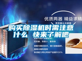 行業(yè)新聞購(gòu)買(mǎi)除濕機(jī)時(shí)需注意什么 快來(lái)了解吧