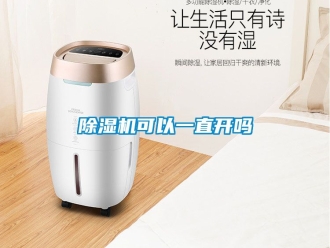 行業(yè)新聞除濕機可以一直開嗎