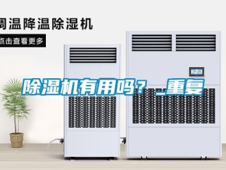 行業(yè)新聞除濕機(jī)有用嗎？_重復(fù)