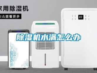 行業(yè)新聞除濕機水滿怎么辦