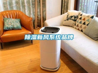 行業(yè)新聞除濕新風(fēng)系統(tǒng)品牌