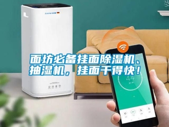 行業(yè)新聞面坊必備掛面除濕機(jī)、抽濕機(jī)，掛面干得快！