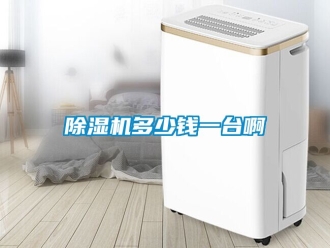 行業(yè)新聞除濕機(jī)多少錢一臺啊
