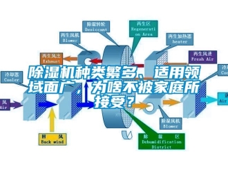行業(yè)新聞除濕機(jī)種類繁多、適用領(lǐng)域面廣，為啥不被家庭所接受？
