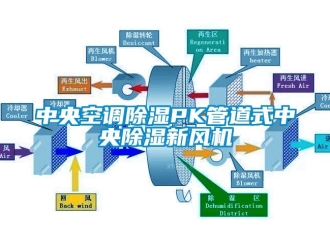 知識百科中央空調(diào)除濕PK管道式中央除濕新風機