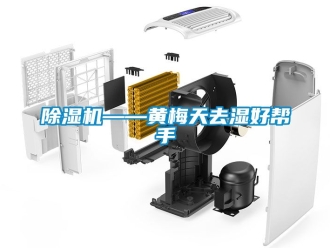行業(yè)新聞除濕機(jī)——黃梅天去濕好幫手