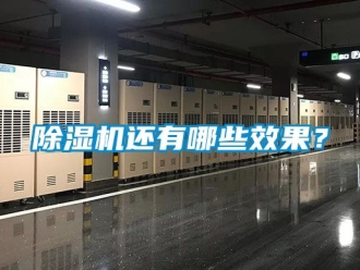 行業(yè)新聞除濕機(jī)還有哪些效果？