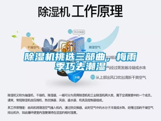行業(yè)新聞除濕機(jī)挑選三部曲，梅雨季巧去潮濕