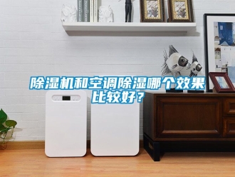 行業(yè)新聞除濕機(jī)和空調(diào)除濕哪個(gè)效果比較好？