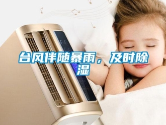 知識百科臺風(fēng)伴隨暴雨，及時(shí)除濕