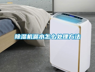 行業(yè)新聞除濕機漏水怎么處理方法