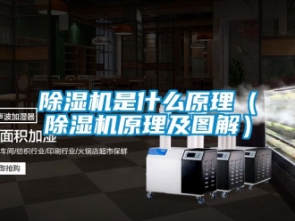 行業(yè)新聞除濕機是什么原理（除濕機原理及圖解）