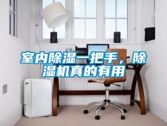 知識(shí)百科室內(nèi)除濕一把手，除濕機(jī)真的有用