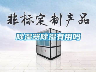 行業(yè)新聞除濕器除濕有用嗎
