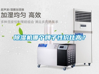 行業(yè)新聞除濕機哪個牌子性價比高？