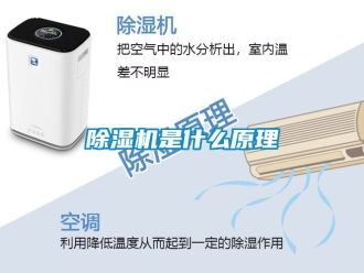 行業(yè)新聞除濕機是什么原理