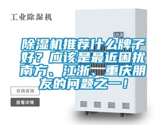 行業(yè)新聞除濕機(jī)推薦什么牌子好？應(yīng)該是最近困擾南方、江浙、重慶朋友的問題之一！