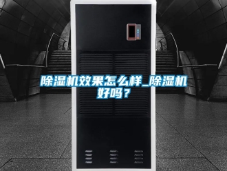 行業(yè)新聞除濕機(jī)效果怎么樣_除濕機(jī)好嗎？
