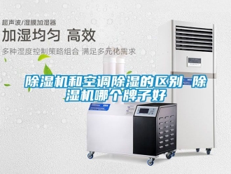 行業(yè)新聞除濕機(jī)和空調(diào)除濕的區(qū)別 除濕機(jī)哪個(gè)牌子好