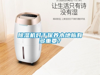 行業(yè)新聞除濕機(jī)對(duì)于保養(yǎng)木地板有多重要？
