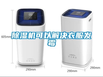 行業(yè)新聞除濕機(jī)可以解決衣服發(fā)霉