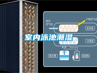 知識(shí)百科室內(nèi)泳池潮濕