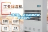 一樓裝修，怎么防潮才是最徹底的？