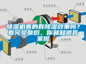 行業(yè)新聞除濕機(jī)真的有除濕效果嗎？看完文章后，你就知道答案啦