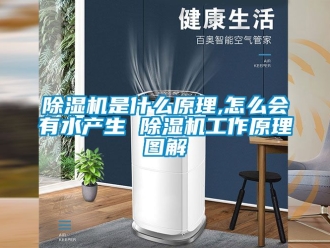 行業(yè)新聞除濕機是什么原理,怎么會有水產(chǎn)生 除濕機工作原理圖解