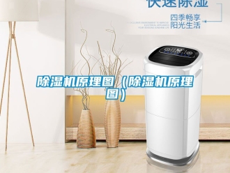 行業(yè)新聞除濕機原理圖（除濕機原理圖）