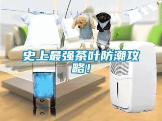 知識百科史上最強(qiáng)茶葉防潮攻略！
