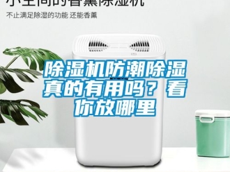 行業(yè)新聞除濕機(jī)防潮除濕真的有用嗎？看你放哪里