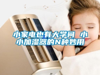 知識百科小家電也有大學(xué)問 小小加濕器的N種妙用