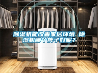 行業(yè)新聞除濕機(jī)能改善家居環(huán)境 除濕機(jī)哪個(gè)牌子好呢？