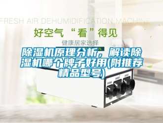 行業(yè)新聞除濕機原理分析，解讀除濕機哪個牌子好用(附推薦精品型號)