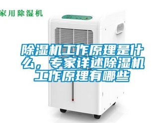 行業(yè)新聞除濕機工作原理是什么，專家詳述除濕機工作原理有哪些