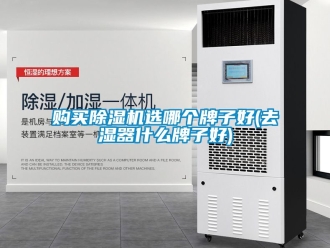 行業(yè)新聞購(gòu)買(mǎi)除濕機(jī)選哪個(gè)牌子好(去濕器什么牌子好)
