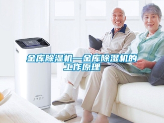 行業(yè)新聞金庫除濕機(jī)—金庫除濕機(jī)的工作原理