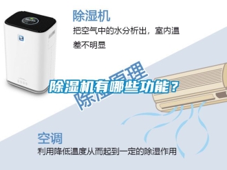 行業(yè)新聞除濕機有哪些功能？