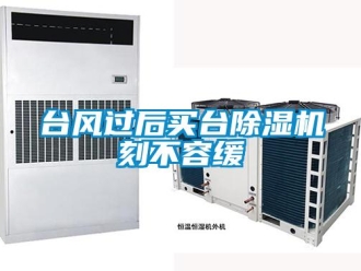 知識百科臺風(fēng)過后買臺除濕機(jī)刻不容緩