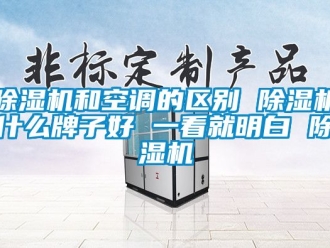 行業(yè)新聞除濕機和空調(diào)的區(qū)別 除濕機什么牌子好 一看就明白 除濕機