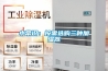 小常識(shí)：按需選購三種加濕器