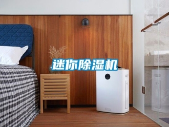 行業(yè)新聞迷你除濕機
