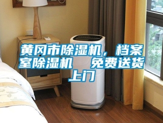 行業(yè)新聞黃岡市除濕機(jī)，檔案室除濕機(jī)  免費(fèi)送貨上門